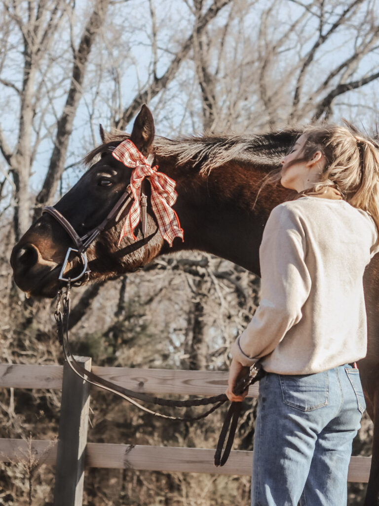 Equestrian Holiday Gift Guide