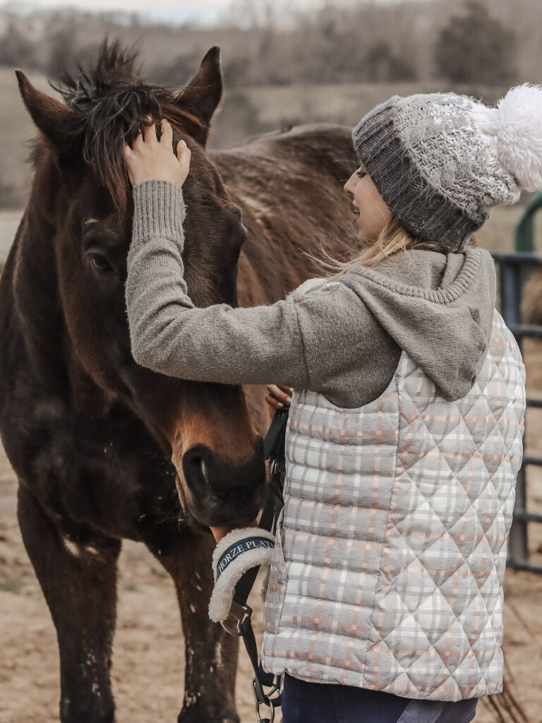 How to prepare your horse for winter