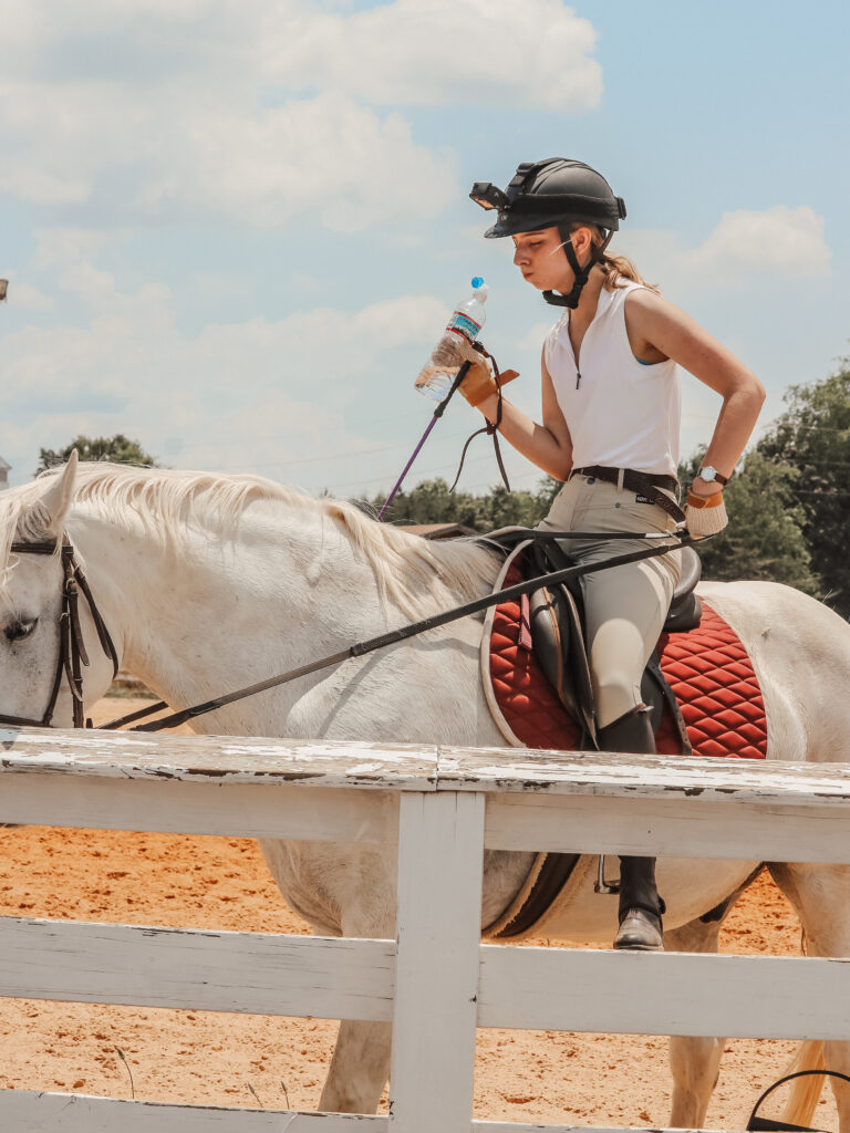 Exciting Things to do with Your Horse THIS Summer